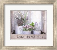 Farmer's Lavender Fine Art Print