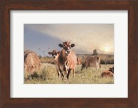 Cow Photobomb Fine Art Print