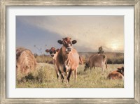 Cow Photobomb Fine Art Print