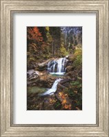 Go With the Flow Fine Art Print