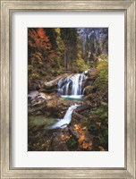 Go With the Flow Fine Art Print