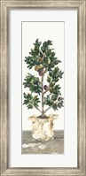 Olive Tree Fine Art Print