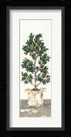 Olive Tree Fine Art Print