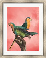The Birds and the Pink Sky I Fine Art Print