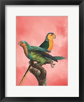 The Birds and the Pink Sky I Fine Art Print