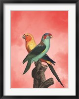The Birds and the Pink Sky II Fine Art Print