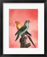 The Birds and the Pink Sky II Fine Art Print