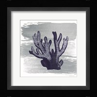 Brushed Midnight Blue Elkhorn Coral Framed Print