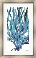Soft Seagrass in Blue 2 Fine Art Print