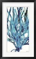 Soft Seagrass in Blue 2 Framed Print