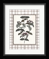 Floral Medley 1 Framed Print
