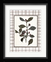 Floral Medley 2 Framed Print