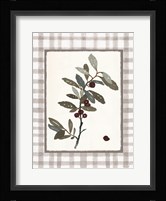 Floral Medley 3 Framed Print