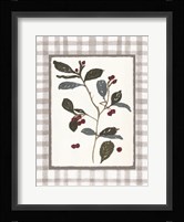 Floral Medley 4 Framed Print