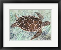 Sea Turtle Collage 1 Fine Art Print