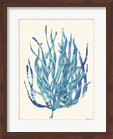 Coral Medley 1 Fine Art Print
