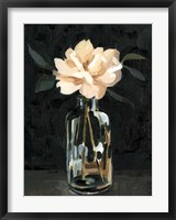 Dark Rose Arrangement I Fine Art Print