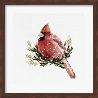 Cardinal with Snow II Fine Art Print