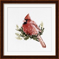 Cardinal with Snow II Fine Art Print