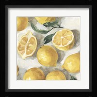Fresh Lemons II Framed Print