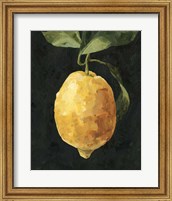 Dark Lemon I Fine Art Print