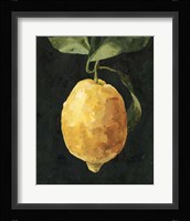 Dark Lemon I Framed Print