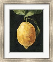 Dark Lemon I Fine Art Print