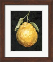 Dark Lemon II Fine Art Print