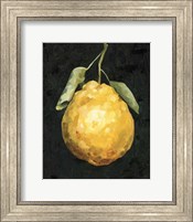 Dark Lemon II Fine Art Print