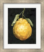 Dark Lemon II Fine Art Print