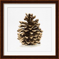 Conifer Cone I Fine Art Print