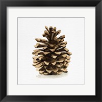 Conifer Cone I Fine Art Print