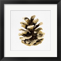 Conifer Cone II Fine Art Print