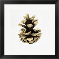 Conifer Cone III Fine Art Print