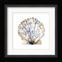 Simple Shells I Framed Print