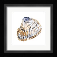 Simple Shells II Framed Print