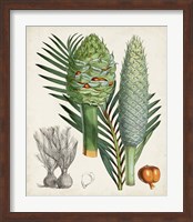 Sago Palms I Fine Art Print