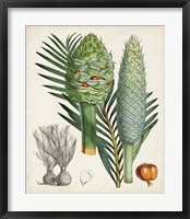 Sago Palms I Fine Art Print