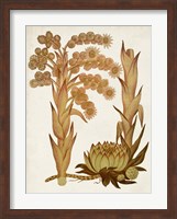 Muted Botanicals II Fine Art Print