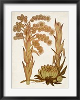 Muted Botanicals II Fine Art Print