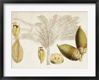 Tropical Foliage & Fruit VIII Fine Art Print