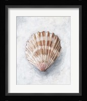 White Shell Study IV Fine Art Print