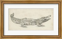 Crocodile Sketch Fine Art Print