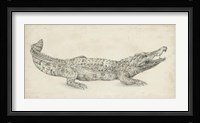 Crocodile Sketch Fine Art Print