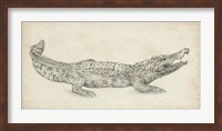 Crocodile Sketch Fine Art Print