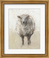 Fluffy Sheep I Fine Art Print