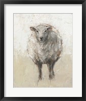 Fluffy Sheep I Framed Print