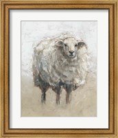 Fluffy Sheep II Fine Art Print