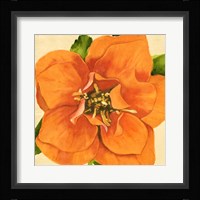 Copper Petals I Framed Print