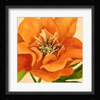 Copper Petals II Fine Art Print